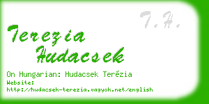 terezia hudacsek business card